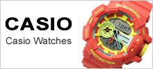 CASIO