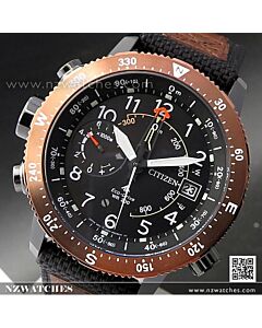 Citizen Promaster Eco-Drive Compass Altichron Multifunction Watch BN4049-11E