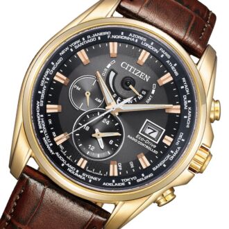 Citizen Eco-Drive Radio Controlled Perpetual Men Watch AT9123-13E